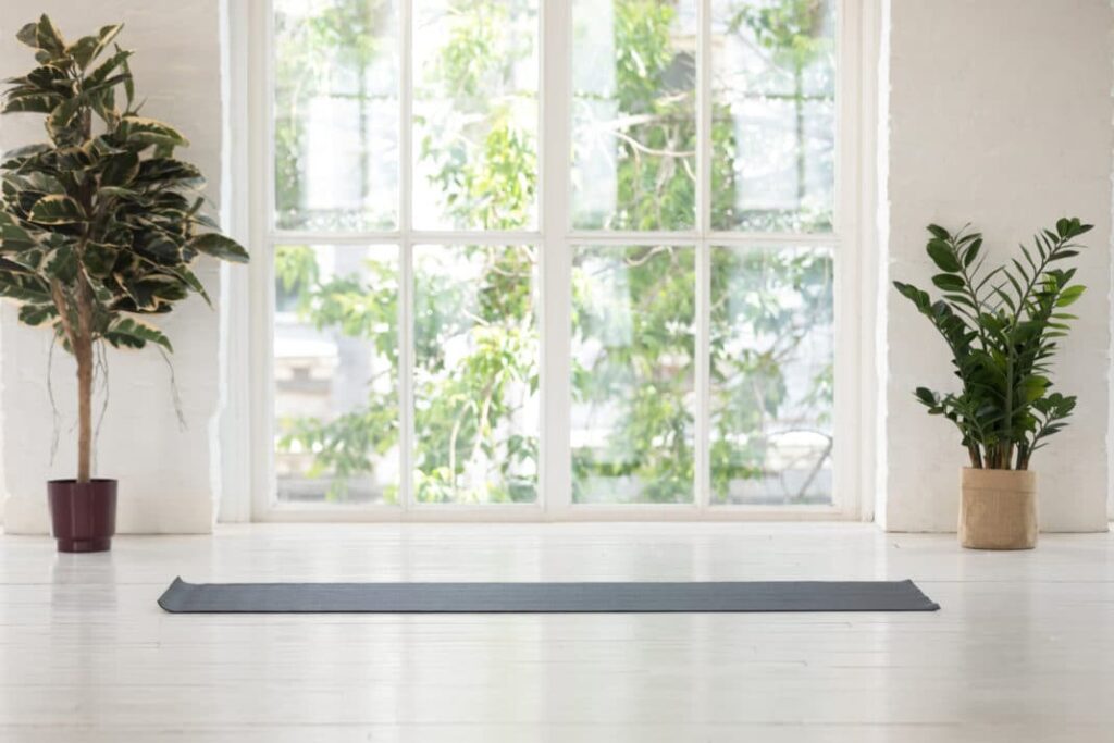 кімнатні рослини в декорі кімнати