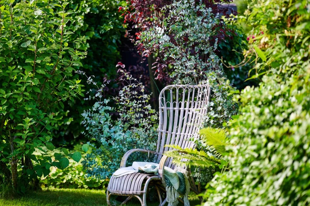 модні садові рослини