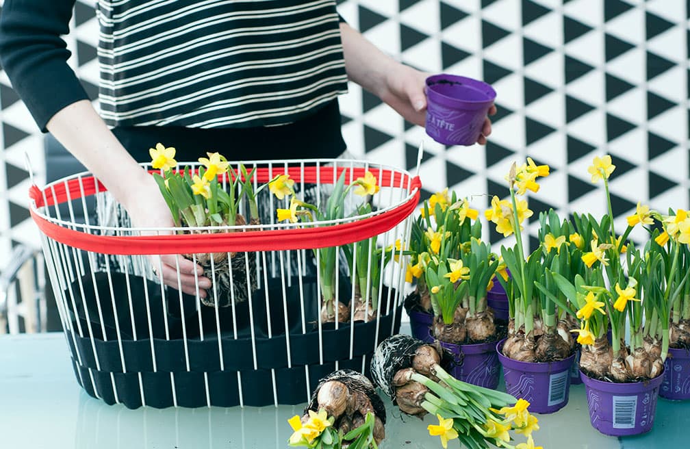 модний підвісний кошик своїми руками