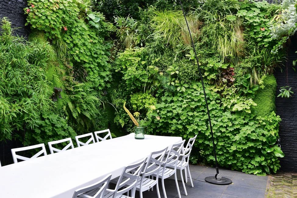Крихітний сад у дворі з живою стіною