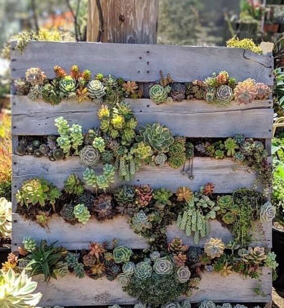 вертикальний декор зелена стіна із дротяної сітки