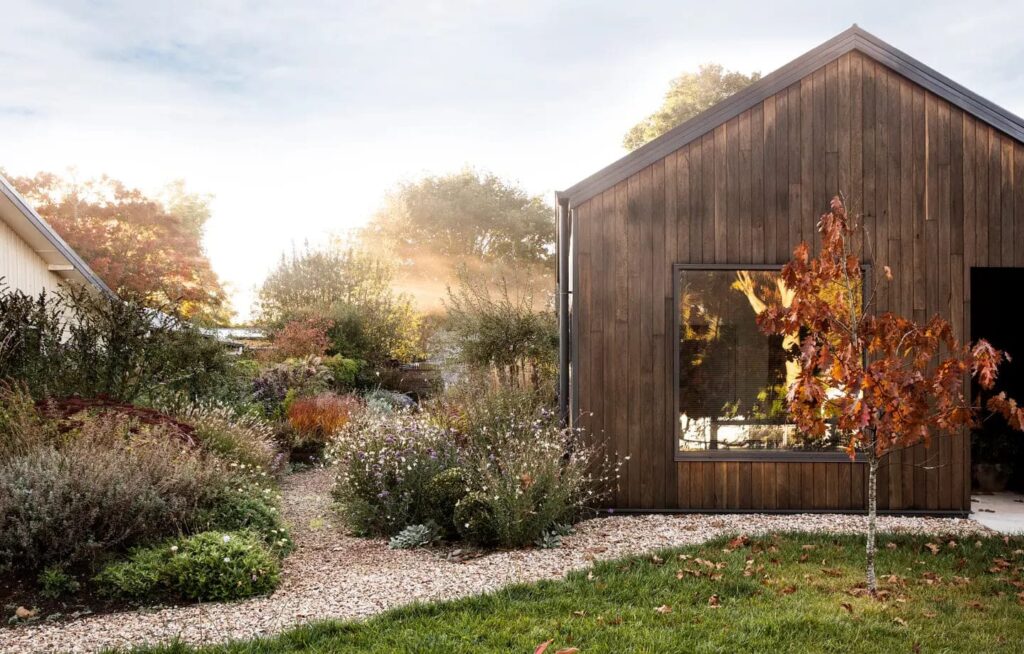 красивий багаторічний садок.