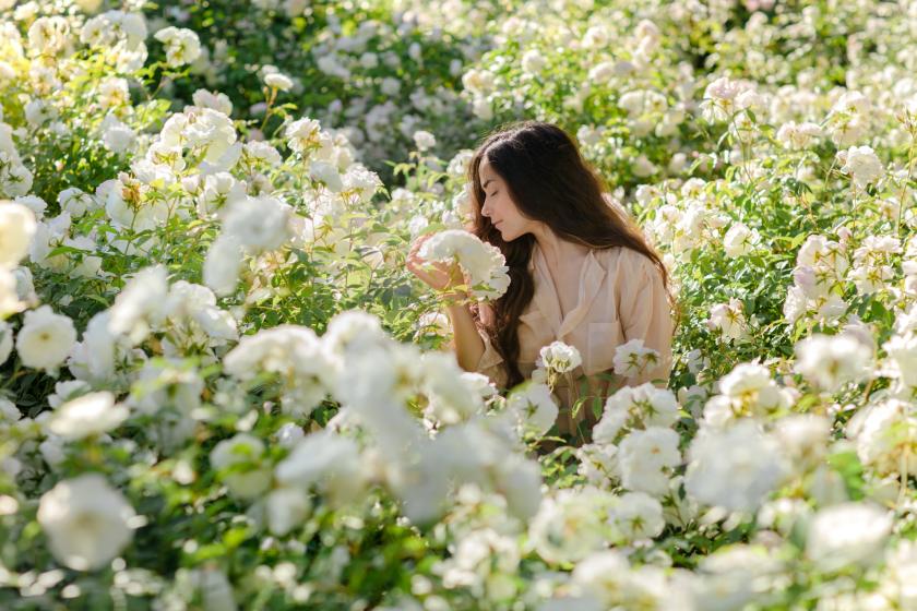 Білий сад з квітами та рослинами