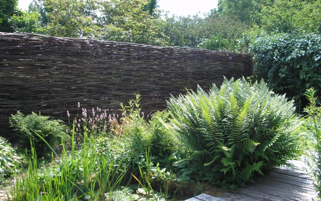 Дизайн садових парканів з верби