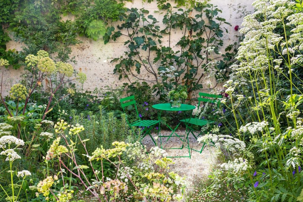 Відпочинок у саду: Розслабляючий простір, що сприяє процвітанню дикої природи