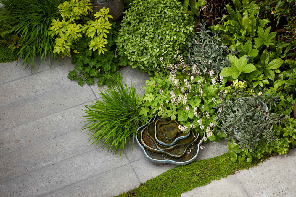 Проєкт саду 44м² з внутрішнім дизайном зручний для відпочинку