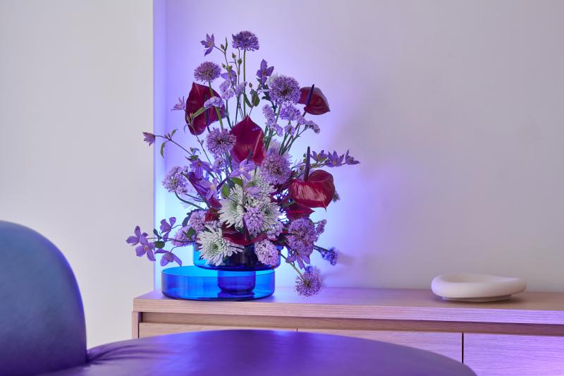 Чотири ключові стилі зеленої індустрії 2025 року: концептуальні зображення