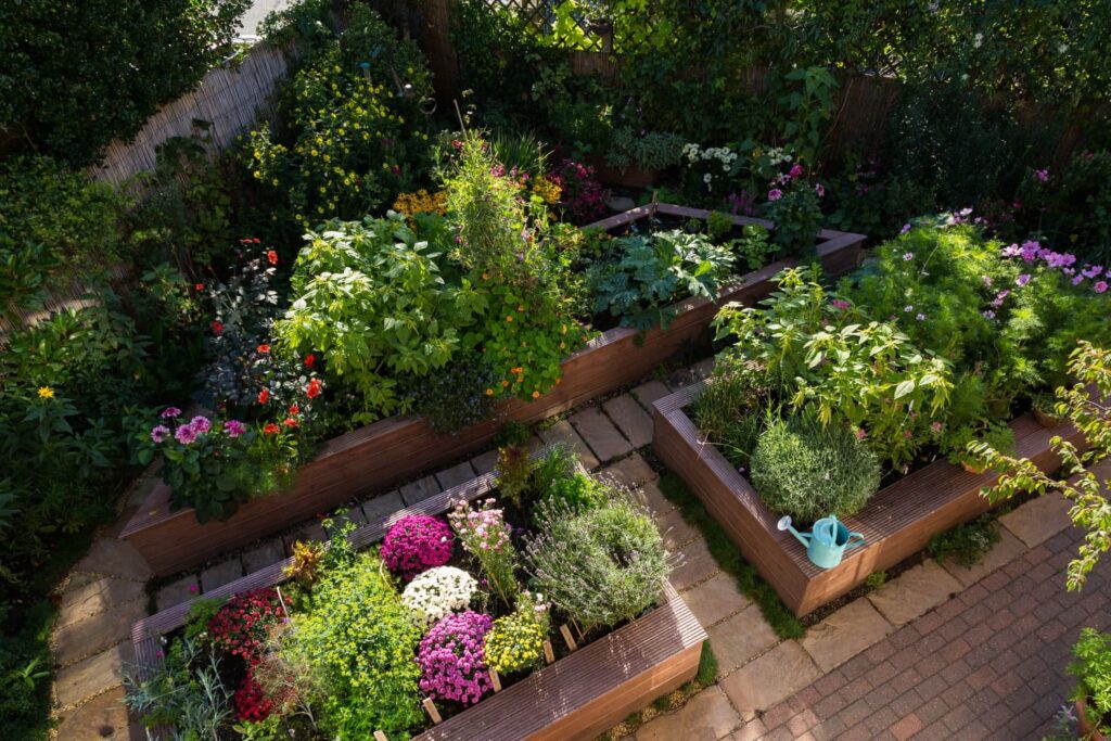 Квітучий сад із гармонійним дизайном клумб.