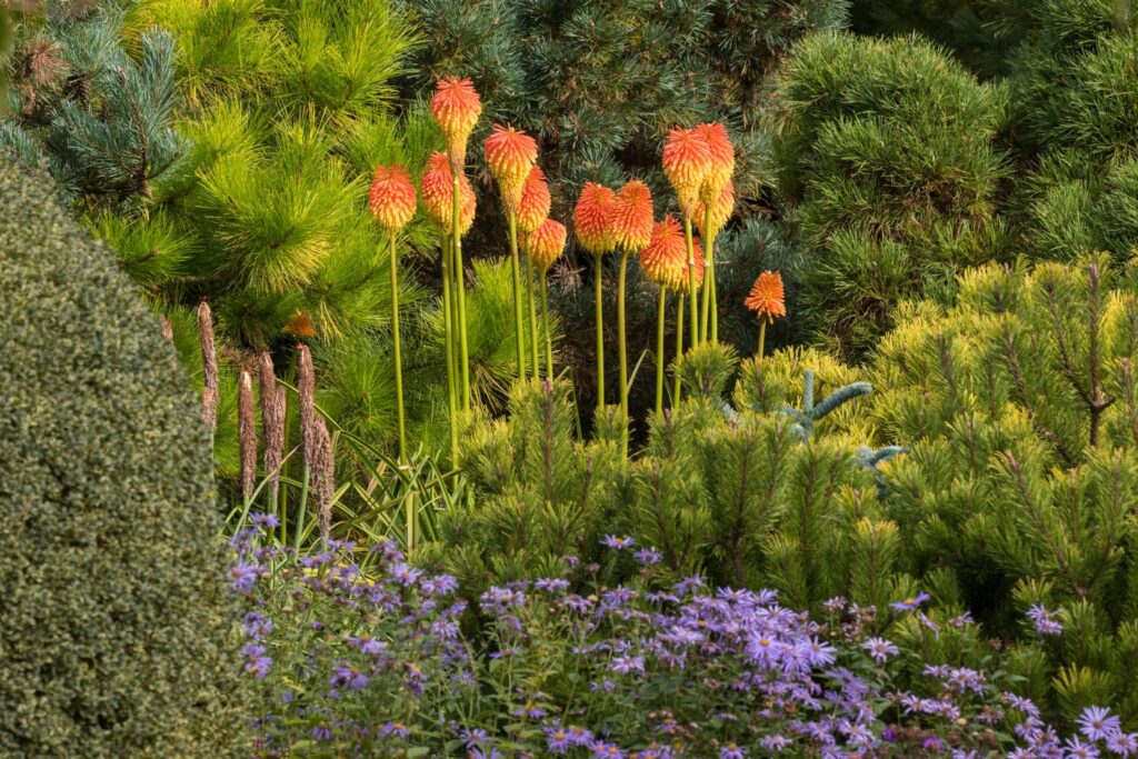 дизайн садових бордюрів