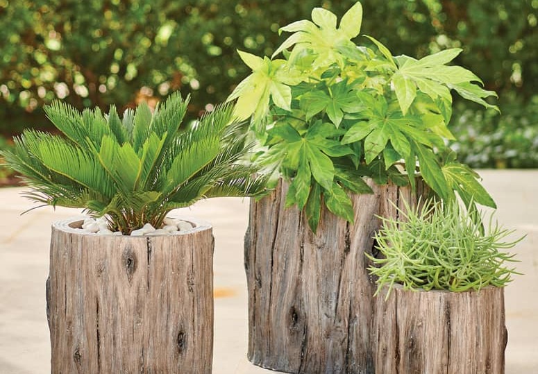 стильні квіткові горщики зі зрубаних стовбурів дерев у сучасному дизайні.