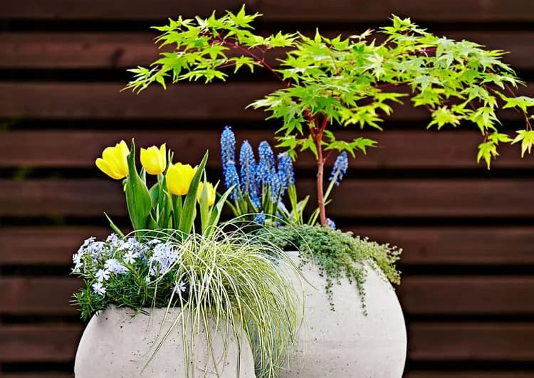 Як зробити садове кашпо з бетону своїми руками