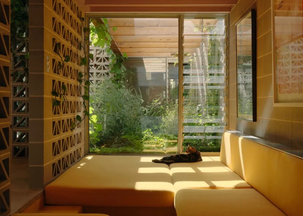 дизайн внутрішнього садового дворика за допомогою рослин