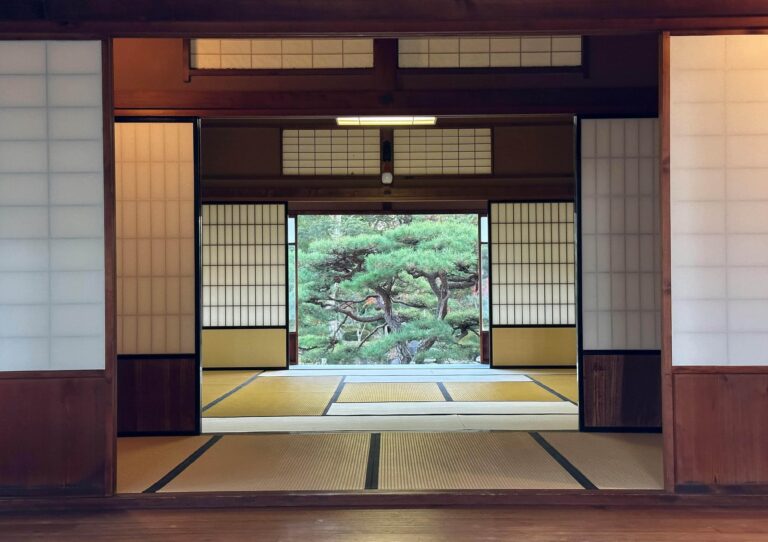 Wellness-зони в домашніх інтер'єрах