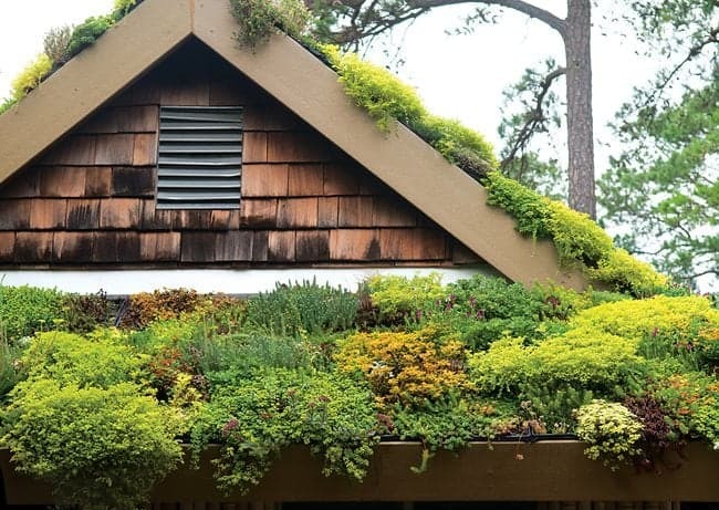 Зелені дахи дизайн, ідеї та переваги