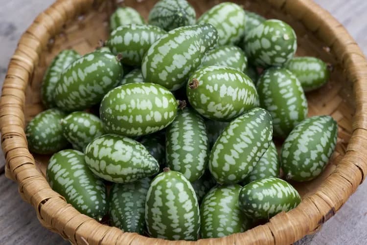 Cucamelons