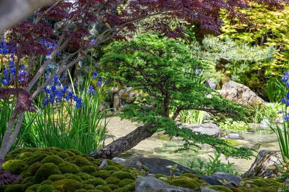 як створити автентичний японський сад
