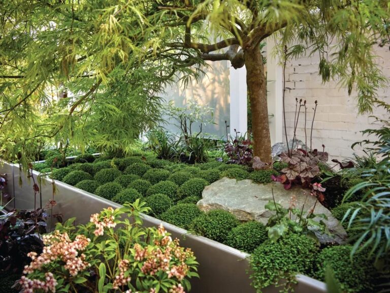 японський стиль сада