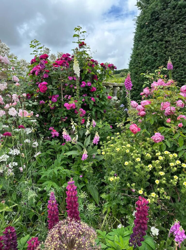 проєкт котеджного саду