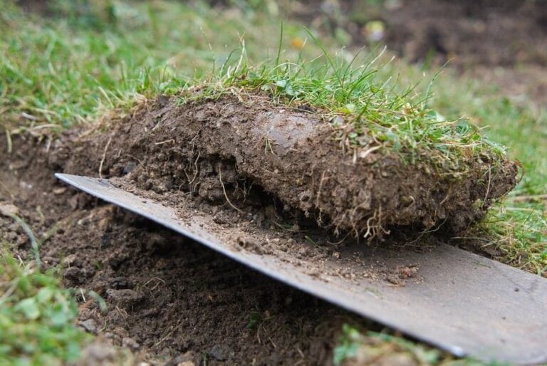 Ідеальний газон